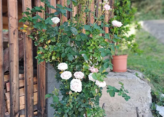 Landgut Auszeit - Erholung Am Berg 1300m *
