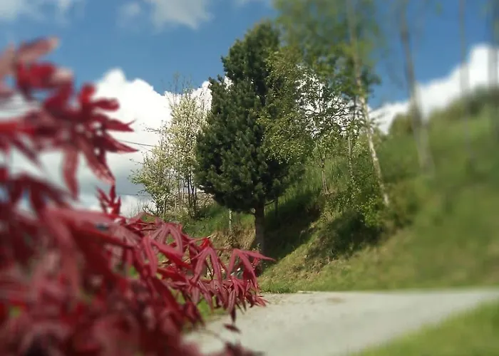 Landgut Auszeit - Erholung Am Berg 1300m Oberkremsberg