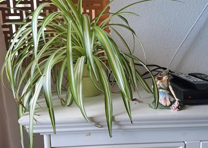 Landgut Auszeit - Erholung Am Berg 1300m * Oberkremsberg